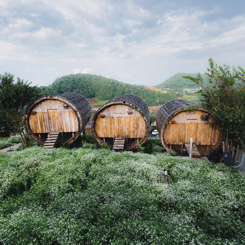 top 17+ ที่พักม่อนแจ่ม 2567 จ.เชียงใหม่ วิวทะเลหมอก อัปเดตใหม่ล่าสุด