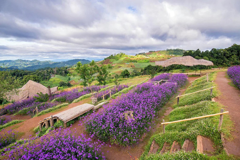 top 17+ ที่พักม่อนแจ่ม 2567 จ.เชียงใหม่ วิวทะเลหมอก อัปเดตใหม่ล่าสุด