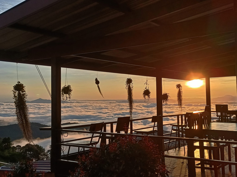 top 17+ ที่พักม่อนแจ่ม 2567 จ.เชียงใหม่ วิวทะเลหมอก อัปเดตใหม่ล่าสุด