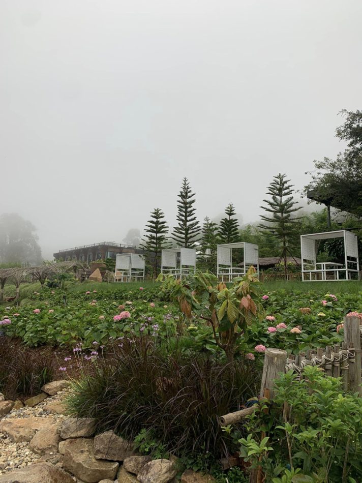 top 17+ ที่พักม่อนแจ่ม 2567 จ.เชียงใหม่ วิวทะเลหมอก อัปเดตใหม่ล่าสุด