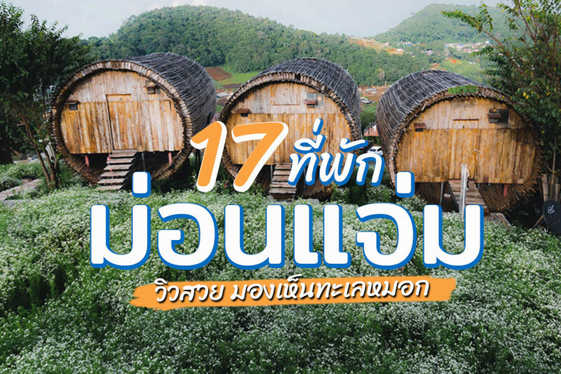top 17+ ที่พักม่อนแจ่ม 2567 จ.เชียงใหม่ วิวทะเลหมอก อัปเดตใหม่ล่าสุด
