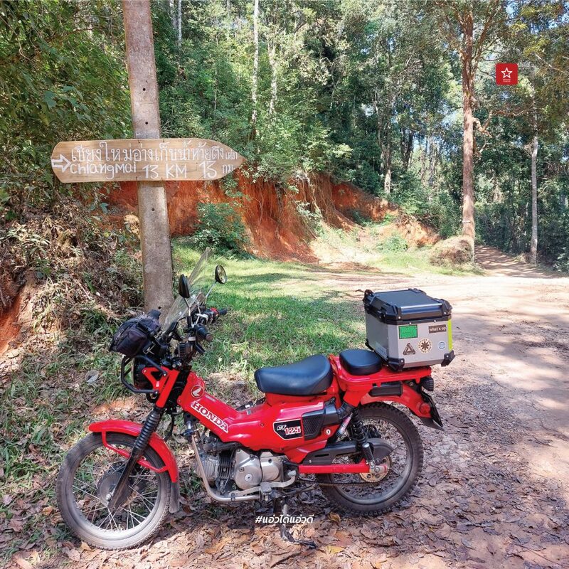 reviewchaingmai, ข่าวเชียงใหม่, ขุนช่างเคี่ยน, ขุนช่างเคี่ยน ดอยสุเทพ, ดอกซากุระ, ดอกพญาเสือโคร่ง เชียงใหม่, ที่เที่ยว หน้าหนาว, ที่เที่ยว เชียงใหม่, รีวิวเชียงใหม่, หน้าหนาว เชียงใหม่, ซากุระเชียงใหม่ เบ่งบานสะพรั่ง กับเส้นทางบ้านขุนช่างเคี่ยน