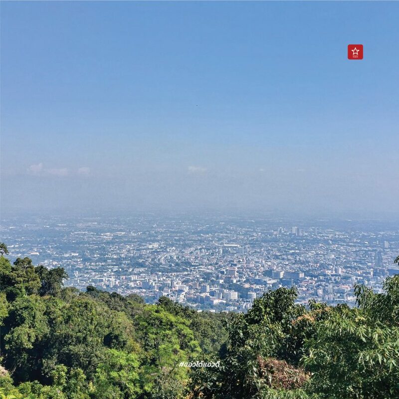 reviewchaingmai, ข่าวเชียงใหม่, ขุนช่างเคี่ยน, ขุนช่างเคี่ยน ดอยสุเทพ, ดอกซากุระ, ดอกพญาเสือโคร่ง เชียงใหม่, ที่เที่ยว หน้าหนาว, ที่เที่ยว เชียงใหม่, รีวิวเชียงใหม่, หน้าหนาว เชียงใหม่, ซากุระเชียงใหม่ เบ่งบานสะพรั่ง กับเส้นทางบ้านขุนช่างเคี่ยน