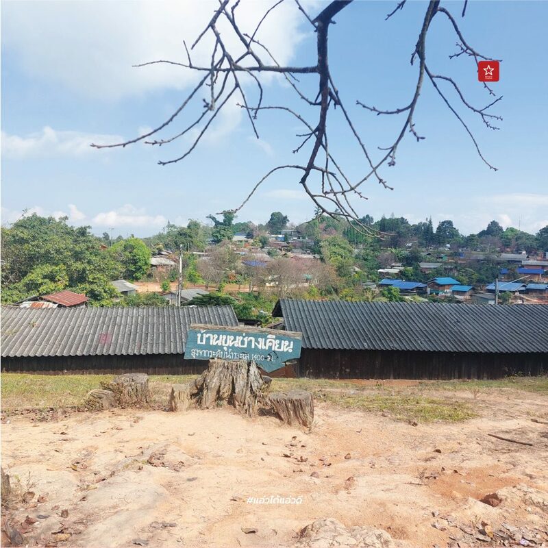 reviewchaingmai, ข่าวเชียงใหม่, ขุนช่างเคี่ยน, ขุนช่างเคี่ยน ดอยสุเทพ, ดอกซากุระ, ดอกพญาเสือโคร่ง เชียงใหม่, ที่เที่ยว หน้าหนาว, ที่เที่ยว เชียงใหม่, รีวิวเชียงใหม่, หน้าหนาว เชียงใหม่, ซากุระเชียงใหม่ เบ่งบานสะพรั่ง กับเส้นทางบ้านขุนช่างเคี่ยน