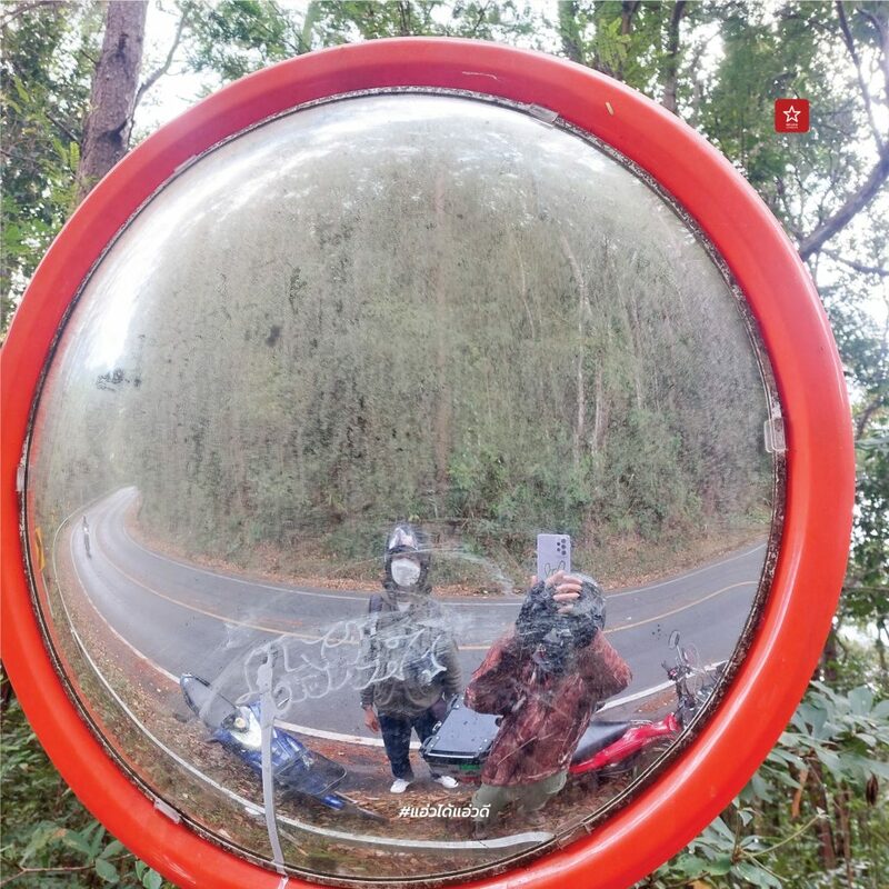 reviewchaingmai, ข่าวเชียงใหม่, ขุนช่างเคี่ยน, ขุนช่างเคี่ยน ดอยสุเทพ, ดอกซากุระ, ดอกพญาเสือโคร่ง เชียงใหม่, ที่เที่ยว หน้าหนาว, ที่เที่ยว เชียงใหม่, รีวิวเชียงใหม่, หน้าหนาว เชียงใหม่, ซากุระเชียงใหม่ เบ่งบานสะพรั่ง กับเส้นทางบ้านขุนช่างเคี่ยน