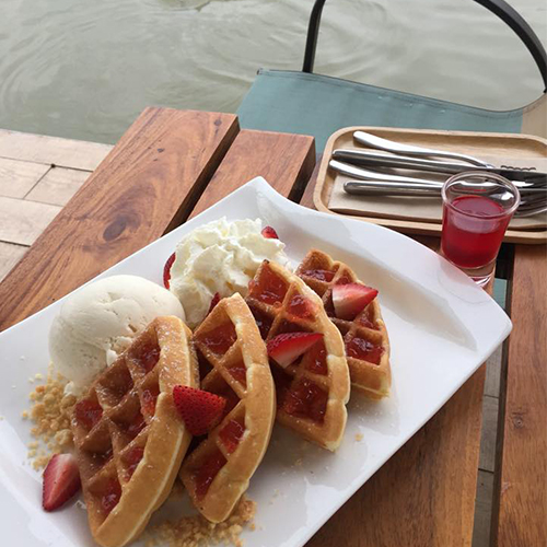 top 7+ ร้านกาแฟ บรรยากาศธรรมชาติสุดฟิน น่า check in