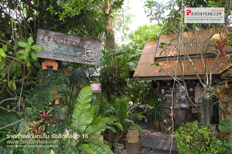 ร้านกาแฟกับต้นไม้, ร้านกาแฟนครนายก, ที่เที่ยวนครนายก, นครนายก