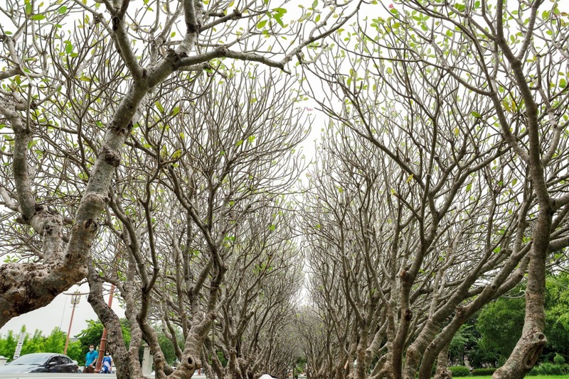 bali nan, kew muang basecamp, กระซิบรักบรรลือโลก, กาดข่วงเมืองน่าน, กาแฟบ้านไทยลื้อ, กิ่วม่วง เบสแคมป์, คอกเสือ, คาเฟ่จังหวัดน่าน, คาเฟ่หยุดเวลา, จุดชมวิว 1715, จุดชมวิวสะปัน, ซุ้มอุโมงค์ลีลาวดี น่าน, ดอยภูคา, ดอยสกาด, ดอยเสมอดาว, ถนนคนเดินเมืองน่าน, ถนนลอยฟ้า, ถนนหมายเลข 1081, ถนนหมายเลข 3, ที่เที่ยว, ที่เที่ยวจังหวัดน่าน, ที่เที่ยวน่าน, ที่เที่ยวน่าน 2023, ที่เที่ยวน่าน2566, ที่เที่ยวใกล้ฉัน, นาขั้นบันได, นาตาทา, นาตาทา cafe & farm stay, น้ำตกสะปัน, บ่อเกลือ, บ่อเกลือ สินเธาว์, บ้านห้วยหมี, บ้านเปียงซ้อ, บ้านเวร, บาหลี น่าน, บาหลี น่าน bali nan, ประตูสวรรค์ น่าน, ปัว, พระธาตุแช่แห้ง น่าน, พระบรมธาตุแช่แห้ง, พิพิธภัณฑสถานน่าน, ฟาร์มเห็ดบ้านหัวน้ำ, ภูแววิว, ม่อนสกาด, ม่อนสกาด คาเฟ่ & ฟาร์มเสตย์, ร้านกาแฟดอยกว่าง, วัดพระธาตุเขาน้อย, วัดภูมินทร์, วัดมิ่งเมือง, สะปัน, หมู่บ้านสะปัน, หยุดเวลาคาเฟ่, ห้วยหมี, หอศิลป์ริมน่าน, อุทยานแห่งชาติขุนน่าน, อุทยานแห่งชาติศรีน่าน, เที่ยวน่าน 2023, เที่ยวน่าน 2566, เวนิส บ้านเวร, เสาดินนาน้อย, เสาดินนาน้อยคอกเสือ, ไร่ปางแกะ, top 25+ ที่เที่ยวน่าน [กรกฎาคม 2024] ใช้ชีวิตสโลว์ไลฟ์ ดื่มด่ำบรรยากาศ ชื่นชมธรรมชาติสุดฟิน