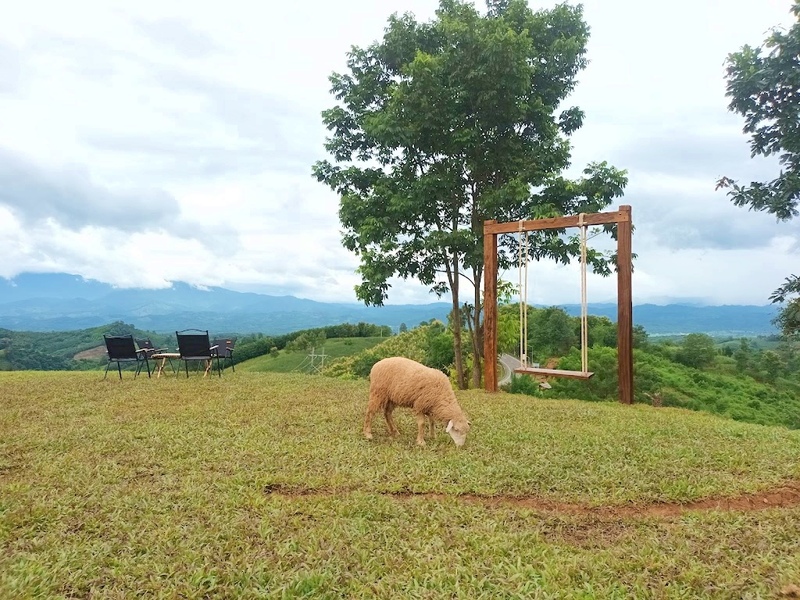 bali nan, kew muang basecamp, กระซิบรักบรรลือโลก, กาดข่วงเมืองน่าน, กาแฟบ้านไทยลื้อ, กิ่วม่วง เบสแคมป์, คอกเสือ, คาเฟ่จังหวัดน่าน, คาเฟ่หยุดเวลา, จุดชมวิว 1715, จุดชมวิวสะปัน, ซุ้มอุโมงค์ลีลาวดี น่าน, ดอยภูคา, ดอยสกาด, ดอยเสมอดาว, ถนนคนเดินเมืองน่าน, ถนนลอยฟ้า, ถนนหมายเลข 1081, ถนนหมายเลข 3, ที่เที่ยว, ที่เที่ยวจังหวัดน่าน, ที่เที่ยวน่าน, ที่เที่ยวน่าน 2023, ที่เที่ยวน่าน2566, ที่เที่ยวใกล้ฉัน, นาขั้นบันได, นาตาทา, นาตาทา cafe & farm stay, น้ำตกสะปัน, บ่อเกลือ, บ่อเกลือ สินเธาว์, บ้านห้วยหมี, บ้านเปียงซ้อ, บ้านเวร, บาหลี น่าน, บาหลี น่าน bali nan, ประตูสวรรค์ น่าน, ปัว, พระธาตุแช่แห้ง น่าน, พระบรมธาตุแช่แห้ง, พิพิธภัณฑสถานน่าน, ฟาร์มเห็ดบ้านหัวน้ำ, ภูแววิว, ม่อนสกาด, ม่อนสกาด คาเฟ่ & ฟาร์มเสตย์, ร้านกาแฟดอยกว่าง, วัดพระธาตุเขาน้อย, วัดภูมินทร์, วัดมิ่งเมือง, สะปัน, หมู่บ้านสะปัน, หยุดเวลาคาเฟ่, ห้วยหมี, หอศิลป์ริมน่าน, อุทยานแห่งชาติขุนน่าน, อุทยานแห่งชาติศรีน่าน, เที่ยวน่าน 2023, เที่ยวน่าน 2566, เวนิส บ้านเวร, เสาดินนาน้อย, เสาดินนาน้อยคอกเสือ, ไร่ปางแกะ, top 25+ ที่เที่ยวน่าน [กรกฎาคม 2024] ใช้ชีวิตสโลว์ไลฟ์ ดื่มด่ำบรรยากาศ ชื่นชมธรรมชาติสุดฟิน