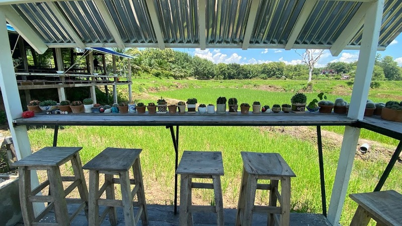 bali nan, kew muang basecamp, กระซิบรักบรรลือโลก, กาดข่วงเมืองน่าน, กาแฟบ้านไทยลื้อ, กิ่วม่วง เบสแคมป์, คอกเสือ, คาเฟ่จังหวัดน่าน, คาเฟ่หยุดเวลา, จุดชมวิว 1715, จุดชมวิวสะปัน, ซุ้มอุโมงค์ลีลาวดี น่าน, ดอยภูคา, ดอยสกาด, ดอยเสมอดาว, ถนนคนเดินเมืองน่าน, ถนนลอยฟ้า, ถนนหมายเลข 1081, ถนนหมายเลข 3, ที่เที่ยว, ที่เที่ยวจังหวัดน่าน, ที่เที่ยวน่าน, ที่เที่ยวน่าน 2023, ที่เที่ยวน่าน2566, ที่เที่ยวใกล้ฉัน, นาขั้นบันได, นาตาทา, นาตาทา cafe & farm stay, น้ำตกสะปัน, บ่อเกลือ, บ่อเกลือ สินเธาว์, บ้านห้วยหมี, บ้านเปียงซ้อ, บ้านเวร, บาหลี น่าน, บาหลี น่าน bali nan, ประตูสวรรค์ น่าน, ปัว, พระธาตุแช่แห้ง น่าน, พระบรมธาตุแช่แห้ง, พิพิธภัณฑสถานน่าน, ฟาร์มเห็ดบ้านหัวน้ำ, ภูแววิว, ม่อนสกาด, ม่อนสกาด คาเฟ่ & ฟาร์มเสตย์, ร้านกาแฟดอยกว่าง, วัดพระธาตุเขาน้อย, วัดภูมินทร์, วัดมิ่งเมือง, สะปัน, หมู่บ้านสะปัน, หยุดเวลาคาเฟ่, ห้วยหมี, หอศิลป์ริมน่าน, อุทยานแห่งชาติขุนน่าน, อุทยานแห่งชาติศรีน่าน, เที่ยวน่าน 2023, เที่ยวน่าน 2566, เวนิส บ้านเวร, เสาดินนาน้อย, เสาดินนาน้อยคอกเสือ, ไร่ปางแกะ, top 25+ ที่เที่ยวน่าน [กรกฎาคม 2024] ใช้ชีวิตสโลว์ไลฟ์ ดื่มด่ำบรรยากาศ ชื่นชมธรรมชาติสุดฟิน