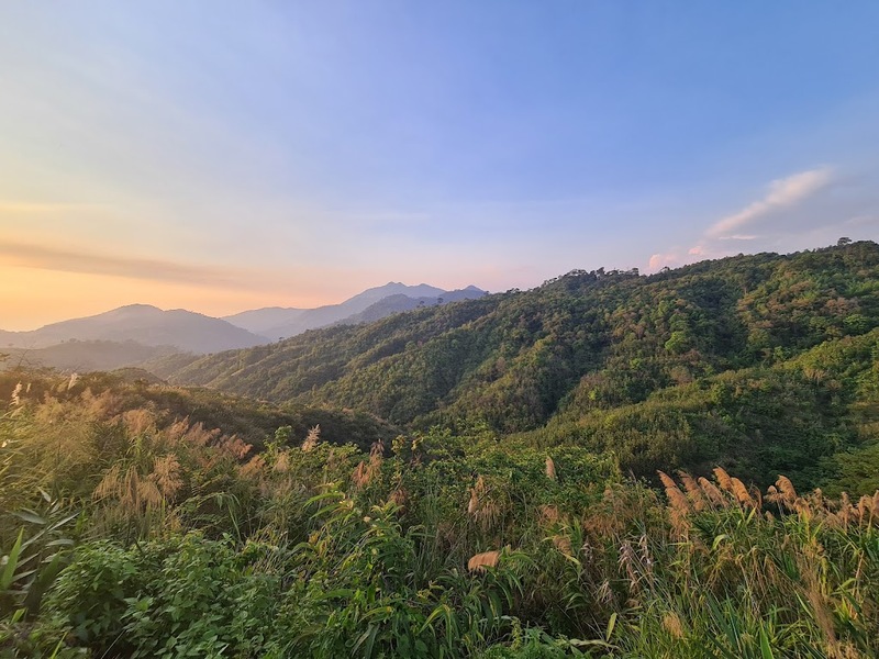 bali nan, kew muang basecamp, กระซิบรักบรรลือโลก, กาดข่วงเมืองน่าน, กาแฟบ้านไทยลื้อ, กิ่วม่วง เบสแคมป์, คอกเสือ, คาเฟ่จังหวัดน่าน, คาเฟ่หยุดเวลา, จุดชมวิว 1715, จุดชมวิวสะปัน, ซุ้มอุโมงค์ลีลาวดี น่าน, ดอยภูคา, ดอยสกาด, ดอยเสมอดาว, ถนนคนเดินเมืองน่าน, ถนนลอยฟ้า, ถนนหมายเลข 1081, ถนนหมายเลข 3, ที่เที่ยว, ที่เที่ยวจังหวัดน่าน, ที่เที่ยวน่าน, ที่เที่ยวน่าน 2023, ที่เที่ยวน่าน2566, ที่เที่ยวใกล้ฉัน, นาขั้นบันได, นาตาทา, นาตาทา cafe & farm stay, น้ำตกสะปัน, บ่อเกลือ, บ่อเกลือ สินเธาว์, บ้านห้วยหมี, บ้านเปียงซ้อ, บ้านเวร, บาหลี น่าน, บาหลี น่าน bali nan, ประตูสวรรค์ น่าน, ปัว, พระธาตุแช่แห้ง น่าน, พระบรมธาตุแช่แห้ง, พิพิธภัณฑสถานน่าน, ฟาร์มเห็ดบ้านหัวน้ำ, ภูแววิว, ม่อนสกาด, ม่อนสกาด คาเฟ่ & ฟาร์มเสตย์, ร้านกาแฟดอยกว่าง, วัดพระธาตุเขาน้อย, วัดภูมินทร์, วัดมิ่งเมือง, สะปัน, หมู่บ้านสะปัน, หยุดเวลาคาเฟ่, ห้วยหมี, หอศิลป์ริมน่าน, อุทยานแห่งชาติขุนน่าน, อุทยานแห่งชาติศรีน่าน, เที่ยวน่าน 2023, เที่ยวน่าน 2566, เวนิส บ้านเวร, เสาดินนาน้อย, เสาดินนาน้อยคอกเสือ, ไร่ปางแกะ, top 25+ ที่เที่ยวน่าน [กรกฎาคม 2024] ใช้ชีวิตสโลว์ไลฟ์ ดื่มด่ำบรรยากาศ ชื่นชมธรรมชาติสุดฟิน