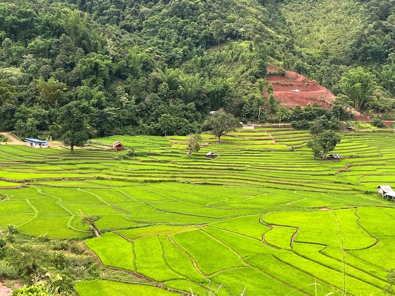 bali nan, kew muang basecamp, กระซิบรักบรรลือโลก, กาดข่วงเมืองน่าน, กาแฟบ้านไทยลื้อ, กิ่วม่วง เบสแคมป์, คอกเสือ, คาเฟ่จังหวัดน่าน, คาเฟ่หยุดเวลา, จุดชมวิว 1715, จุดชมวิวสะปัน, ซุ้มอุโมงค์ลีลาวดี น่าน, ดอยภูคา, ดอยสกาด, ดอยเสมอดาว, ถนนคนเดินเมืองน่าน, ถนนลอยฟ้า, ถนนหมายเลข 1081, ถนนหมายเลข 3, ที่เที่ยว, ที่เที่ยวจังหวัดน่าน, ที่เที่ยวน่าน, ที่เที่ยวน่าน 2023, ที่เที่ยวน่าน2566, ที่เที่ยวใกล้ฉัน, นาขั้นบันได, นาตาทา, นาตาทา cafe & farm stay, น้ำตกสะปัน, บ่อเกลือ, บ่อเกลือ สินเธาว์, บ้านห้วยหมี, บ้านเปียงซ้อ, บ้านเวร, บาหลี น่าน, บาหลี น่าน bali nan, ประตูสวรรค์ น่าน, ปัว, พระธาตุแช่แห้ง น่าน, พระบรมธาตุแช่แห้ง, พิพิธภัณฑสถานน่าน, ฟาร์มเห็ดบ้านหัวน้ำ, ภูแววิว, ม่อนสกาด, ม่อนสกาด คาเฟ่ & ฟาร์มเสตย์, ร้านกาแฟดอยกว่าง, วัดพระธาตุเขาน้อย, วัดภูมินทร์, วัดมิ่งเมือง, สะปัน, หมู่บ้านสะปัน, หยุดเวลาคาเฟ่, ห้วยหมี, หอศิลป์ริมน่าน, อุทยานแห่งชาติขุนน่าน, อุทยานแห่งชาติศรีน่าน, เที่ยวน่าน 2023, เที่ยวน่าน 2566, เวนิส บ้านเวร, เสาดินนาน้อย, เสาดินนาน้อยคอกเสือ, ไร่ปางแกะ, top 25+ ที่เที่ยวน่าน [กรกฎาคม 2024] ใช้ชีวิตสโลว์ไลฟ์ ดื่มด่ำบรรยากาศ ชื่นชมธรรมชาติสุดฟิน