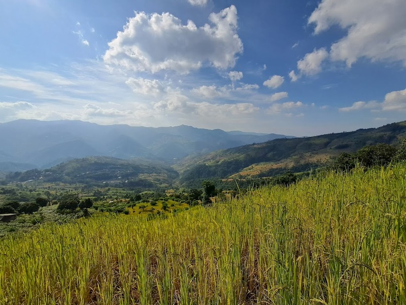 bali nan, kew muang basecamp, กระซิบรักบรรลือโลก, กาดข่วงเมืองน่าน, กาแฟบ้านไทยลื้อ, กิ่วม่วง เบสแคมป์, คอกเสือ, คาเฟ่จังหวัดน่าน, คาเฟ่หยุดเวลา, จุดชมวิว 1715, จุดชมวิวสะปัน, ซุ้มอุโมงค์ลีลาวดี น่าน, ดอยภูคา, ดอยสกาด, ดอยเสมอดาว, ถนนคนเดินเมืองน่าน, ถนนลอยฟ้า, ถนนหมายเลข 1081, ถนนหมายเลข 3, ที่เที่ยว, ที่เที่ยวจังหวัดน่าน, ที่เที่ยวน่าน, ที่เที่ยวน่าน 2023, ที่เที่ยวน่าน2566, ที่เที่ยวใกล้ฉัน, นาขั้นบันได, นาตาทา, นาตาทา cafe & farm stay, น้ำตกสะปัน, บ่อเกลือ, บ่อเกลือ สินเธาว์, บ้านห้วยหมี, บ้านเปียงซ้อ, บ้านเวร, บาหลี น่าน, บาหลี น่าน bali nan, ประตูสวรรค์ น่าน, ปัว, พระธาตุแช่แห้ง น่าน, พระบรมธาตุแช่แห้ง, พิพิธภัณฑสถานน่าน, ฟาร์มเห็ดบ้านหัวน้ำ, ภูแววิว, ม่อนสกาด, ม่อนสกาด คาเฟ่ & ฟาร์มเสตย์, ร้านกาแฟดอยกว่าง, วัดพระธาตุเขาน้อย, วัดภูมินทร์, วัดมิ่งเมือง, สะปัน, หมู่บ้านสะปัน, หยุดเวลาคาเฟ่, ห้วยหมี, หอศิลป์ริมน่าน, อุทยานแห่งชาติขุนน่าน, อุทยานแห่งชาติศรีน่าน, เที่ยวน่าน 2023, เที่ยวน่าน 2566, เวนิส บ้านเวร, เสาดินนาน้อย, เสาดินนาน้อยคอกเสือ, ไร่ปางแกะ, top 25+ ที่เที่ยวน่าน [กรกฎาคม 2024] ใช้ชีวิตสโลว์ไลฟ์ ดื่มด่ำบรรยากาศ ชื่นชมธรรมชาติสุดฟิน