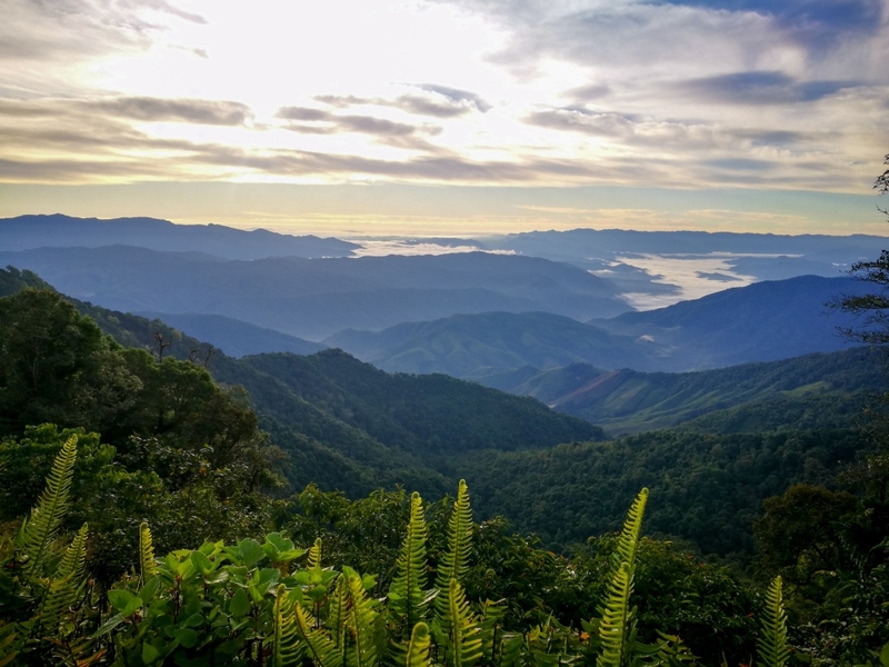 bali nan, kew muang basecamp, กระซิบรักบรรลือโลก, กาดข่วงเมืองน่าน, กาแฟบ้านไทยลื้อ, กิ่วม่วง เบสแคมป์, คอกเสือ, คาเฟ่จังหวัดน่าน, คาเฟ่หยุดเวลา, จุดชมวิว 1715, จุดชมวิวสะปัน, ซุ้มอุโมงค์ลีลาวดี น่าน, ดอยภูคา, ดอยสกาด, ดอยเสมอดาว, ถนนคนเดินเมืองน่าน, ถนนลอยฟ้า, ถนนหมายเลข 1081, ถนนหมายเลข 3, ที่เที่ยว, ที่เที่ยวจังหวัดน่าน, ที่เที่ยวน่าน, ที่เที่ยวน่าน 2023, ที่เที่ยวน่าน2566, ที่เที่ยวใกล้ฉัน, นาขั้นบันได, นาตาทา, นาตาทา cafe & farm stay, น้ำตกสะปัน, บ่อเกลือ, บ่อเกลือ สินเธาว์, บ้านห้วยหมี, บ้านเปียงซ้อ, บ้านเวร, บาหลี น่าน, บาหลี น่าน bali nan, ประตูสวรรค์ น่าน, ปัว, พระธาตุแช่แห้ง น่าน, พระบรมธาตุแช่แห้ง, พิพิธภัณฑสถานน่าน, ฟาร์มเห็ดบ้านหัวน้ำ, ภูแววิว, ม่อนสกาด, ม่อนสกาด คาเฟ่ & ฟาร์มเสตย์, ร้านกาแฟดอยกว่าง, วัดพระธาตุเขาน้อย, วัดภูมินทร์, วัดมิ่งเมือง, สะปัน, หมู่บ้านสะปัน, หยุดเวลาคาเฟ่, ห้วยหมี, หอศิลป์ริมน่าน, อุทยานแห่งชาติขุนน่าน, อุทยานแห่งชาติศรีน่าน, เที่ยวน่าน 2023, เที่ยวน่าน 2566, เวนิส บ้านเวร, เสาดินนาน้อย, เสาดินนาน้อยคอกเสือ, ไร่ปางแกะ, top 25+ ที่เที่ยวน่าน [กรกฎาคม 2024] ใช้ชีวิตสโลว์ไลฟ์ ดื่มด่ำบรรยากาศ ชื่นชมธรรมชาติสุดฟิน