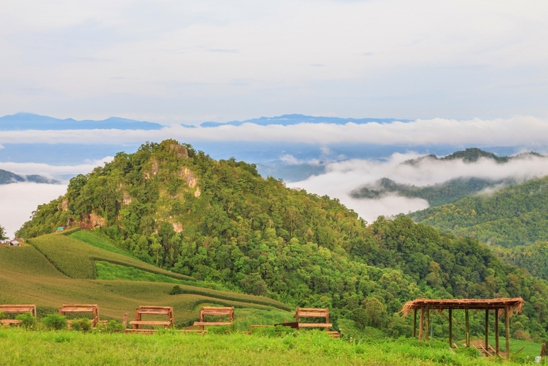 bali nan, kew muang basecamp, กระซิบรักบรรลือโลก, กาดข่วงเมืองน่าน, กาแฟบ้านไทยลื้อ, กิ่วม่วง เบสแคมป์, คอกเสือ, คาเฟ่จังหวัดน่าน, คาเฟ่หยุดเวลา, จุดชมวิว 1715, จุดชมวิวสะปัน, ซุ้มอุโมงค์ลีลาวดี น่าน, ดอยภูคา, ดอยสกาด, ดอยเสมอดาว, ถนนคนเดินเมืองน่าน, ถนนลอยฟ้า, ถนนหมายเลข 1081, ถนนหมายเลข 3, ที่เที่ยว, ที่เที่ยวจังหวัดน่าน, ที่เที่ยวน่าน, ที่เที่ยวน่าน 2023, ที่เที่ยวน่าน2566, ที่เที่ยวใกล้ฉัน, นาขั้นบันได, นาตาทา, นาตาทา cafe & farm stay, น้ำตกสะปัน, บ่อเกลือ, บ่อเกลือ สินเธาว์, บ้านห้วยหมี, บ้านเปียงซ้อ, บ้านเวร, บาหลี น่าน, บาหลี น่าน bali nan, ประตูสวรรค์ น่าน, ปัว, พระธาตุแช่แห้ง น่าน, พระบรมธาตุแช่แห้ง, พิพิธภัณฑสถานน่าน, ฟาร์มเห็ดบ้านหัวน้ำ, ภูแววิว, ม่อนสกาด, ม่อนสกาด คาเฟ่ & ฟาร์มเสตย์, ร้านกาแฟดอยกว่าง, วัดพระธาตุเขาน้อย, วัดภูมินทร์, วัดมิ่งเมือง, สะปัน, หมู่บ้านสะปัน, หยุดเวลาคาเฟ่, ห้วยหมี, หอศิลป์ริมน่าน, อุทยานแห่งชาติขุนน่าน, อุทยานแห่งชาติศรีน่าน, เที่ยวน่าน 2023, เที่ยวน่าน 2566, เวนิส บ้านเวร, เสาดินนาน้อย, เสาดินนาน้อยคอกเสือ, ไร่ปางแกะ, top 25+ ที่เที่ยวน่าน [กรกฎาคม 2024] ใช้ชีวิตสโลว์ไลฟ์ ดื่มด่ำบรรยากาศ ชื่นชมธรรมชาติสุดฟิน