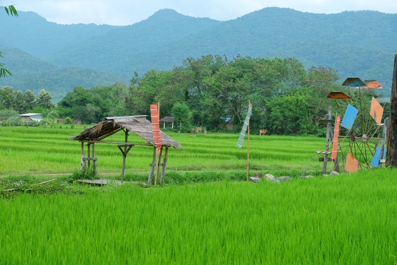 bali nan, kew muang basecamp, กระซิบรักบรรลือโลก, กาดข่วงเมืองน่าน, กาแฟบ้านไทยลื้อ, กิ่วม่วง เบสแคมป์, คอกเสือ, คาเฟ่จังหวัดน่าน, คาเฟ่หยุดเวลา, จุดชมวิว 1715, จุดชมวิวสะปัน, ซุ้มอุโมงค์ลีลาวดี น่าน, ดอยภูคา, ดอยสกาด, ดอยเสมอดาว, ถนนคนเดินเมืองน่าน, ถนนลอยฟ้า, ถนนหมายเลข 1081, ถนนหมายเลข 3, ที่เที่ยว, ที่เที่ยวจังหวัดน่าน, ที่เที่ยวน่าน, ที่เที่ยวน่าน 2023, ที่เที่ยวน่าน2566, ที่เที่ยวใกล้ฉัน, นาขั้นบันได, นาตาทา, นาตาทา cafe & farm stay, น้ำตกสะปัน, บ่อเกลือ, บ่อเกลือ สินเธาว์, บ้านห้วยหมี, บ้านเปียงซ้อ, บ้านเวร, บาหลี น่าน, บาหลี น่าน bali nan, ประตูสวรรค์ น่าน, ปัว, พระธาตุแช่แห้ง น่าน, พระบรมธาตุแช่แห้ง, พิพิธภัณฑสถานน่าน, ฟาร์มเห็ดบ้านหัวน้ำ, ภูแววิว, ม่อนสกาด, ม่อนสกาด คาเฟ่ & ฟาร์มเสตย์, ร้านกาแฟดอยกว่าง, วัดพระธาตุเขาน้อย, วัดภูมินทร์, วัดมิ่งเมือง, สะปัน, หมู่บ้านสะปัน, หยุดเวลาคาเฟ่, ห้วยหมี, หอศิลป์ริมน่าน, อุทยานแห่งชาติขุนน่าน, อุทยานแห่งชาติศรีน่าน, เที่ยวน่าน 2023, เที่ยวน่าน 2566, เวนิส บ้านเวร, เสาดินนาน้อย, เสาดินนาน้อยคอกเสือ, ไร่ปางแกะ, top 25+ ที่เที่ยวน่าน [กรกฎาคม 2024] ใช้ชีวิตสโลว์ไลฟ์ ดื่มด่ำบรรยากาศ ชื่นชมธรรมชาติสุดฟิน