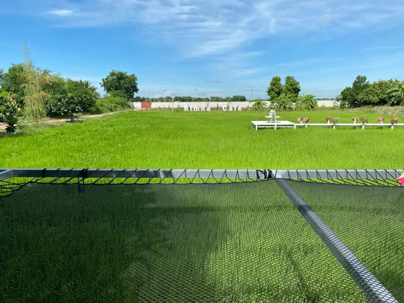 เที่ยวสิงห์บุรี, คาเฟ่สิงห์บุรี, ร้านกาแฟสิงห์บุรี, top 20+ คาเฟ่สิงห์บุรี