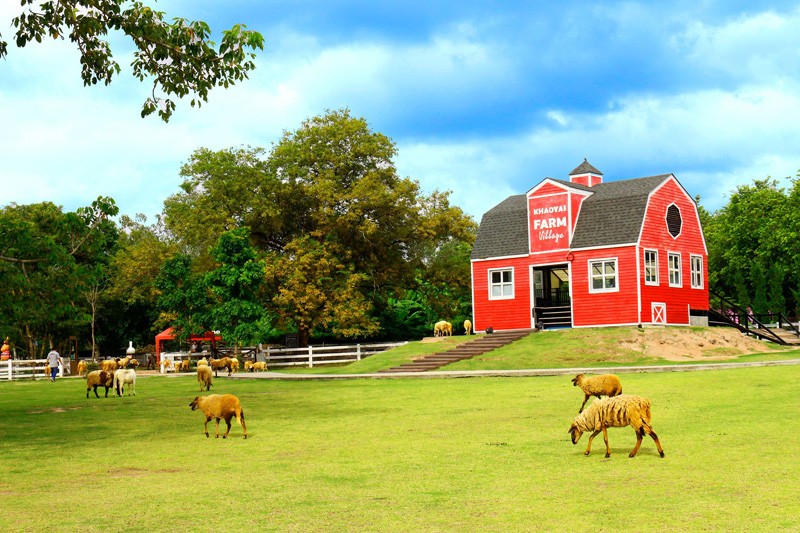 เขาใหญ่, top 17+ ที่เที่ยวเขาใหญ่ 2567 เที่ยวเขาใหญ่แบบธรรมชาติ บรรยากาศดี วิวสวยหลักล้าน