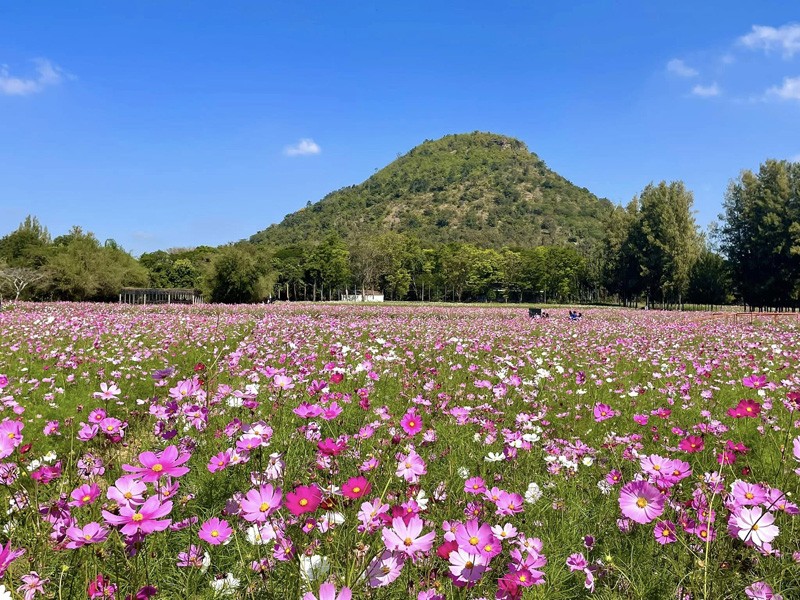 เขาใหญ่, top 17+ ที่เที่ยวเขาใหญ่ 2567 เที่ยวเขาใหญ่แบบธรรมชาติ บรรยากาศดี วิวสวยหลักล้าน