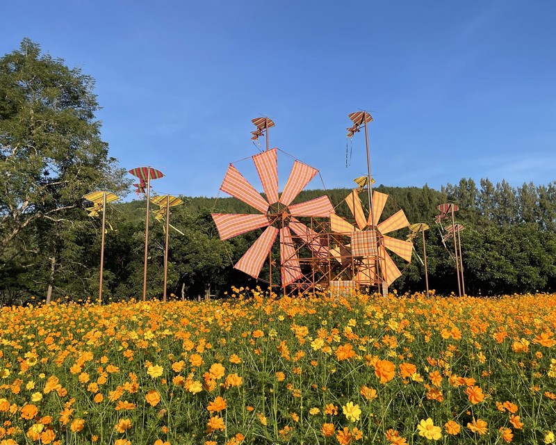 เขาใหญ่, top 17+ ที่เที่ยวเขาใหญ่ 2567 เที่ยวเขาใหญ่แบบธรรมชาติ บรรยากาศดี วิวสวยหลักล้าน