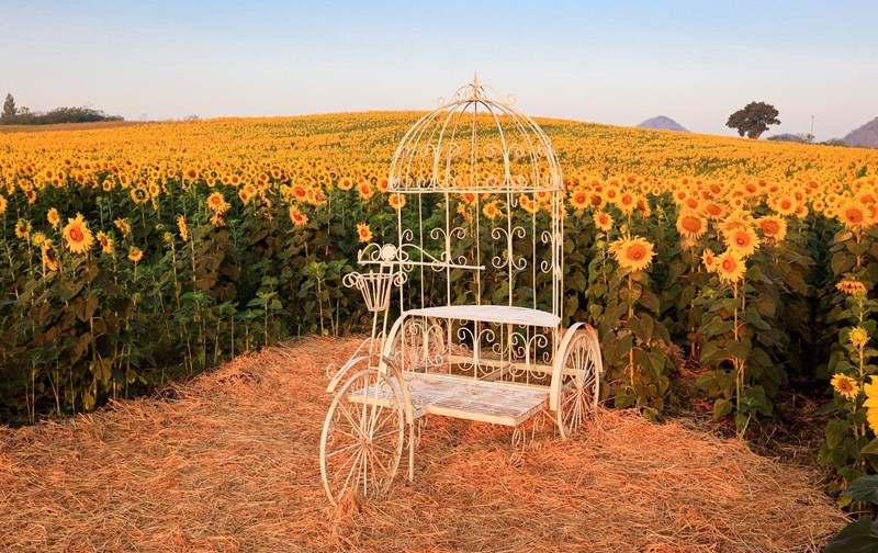 เขาใหญ่, top 17+ ที่เที่ยวเขาใหญ่ 2567 เที่ยวเขาใหญ่แบบธรรมชาติ บรรยากาศดี วิวสวยหลักล้าน