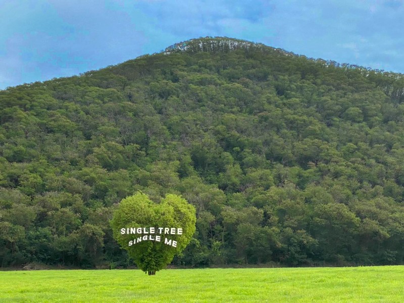 เขาใหญ่, top 17+ ที่เที่ยวเขาใหญ่ 2567 เที่ยวเขาใหญ่แบบธรรมชาติ บรรยากาศดี วิวสวยหลักล้าน