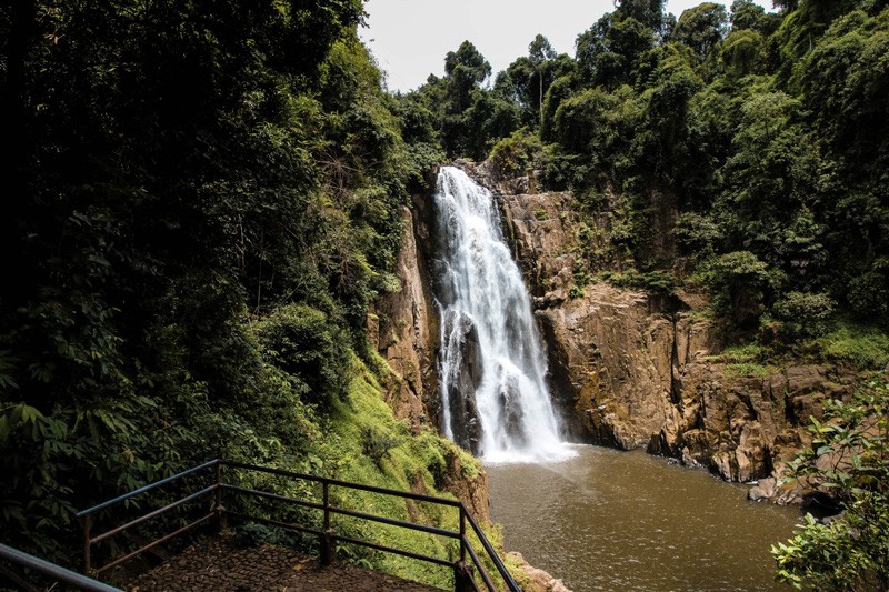 เขาใหญ่, top 17+ ที่เที่ยวเขาใหญ่ 2567 เที่ยวเขาใหญ่แบบธรรมชาติ บรรยากาศดี วิวสวยหลักล้าน