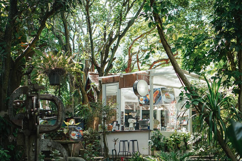 เขาใหญ่, top 17+ ที่เที่ยวเขาใหญ่ 2567 เที่ยวเขาใหญ่แบบธรรมชาติ บรรยากาศดี วิวสวยหลักล้าน