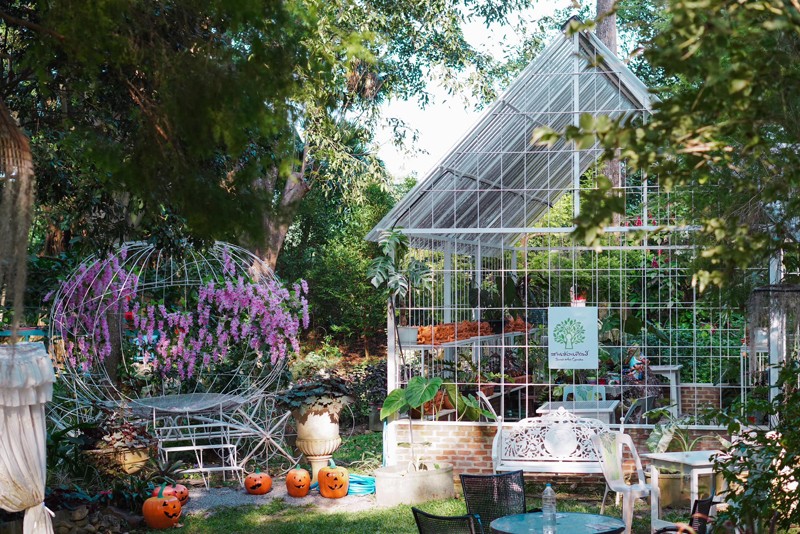 เขาใหญ่, top 17+ ที่เที่ยวเขาใหญ่ 2567 เที่ยวเขาใหญ่แบบธรรมชาติ บรรยากาศดี วิวสวยหลักล้าน