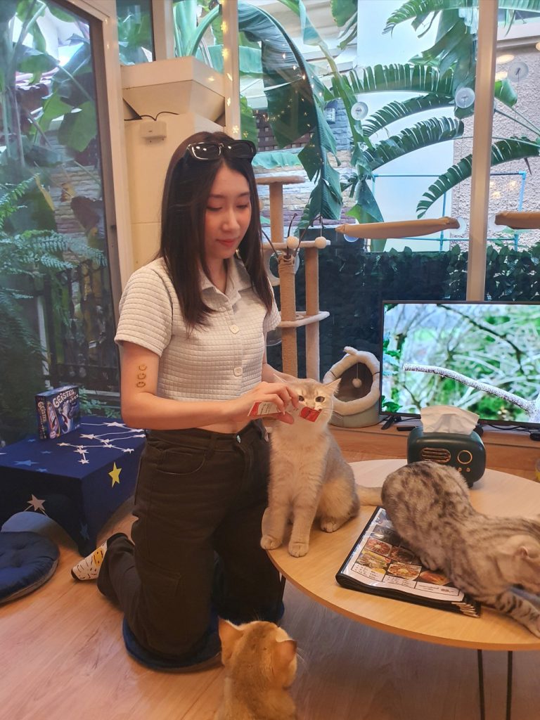 kuppu gamu cafe, kuppu gamu cafe and game store, kuppugamu, kuppugamu game store, คัปปุเกมมุคาเฟ่, ค่าเฟ่ปทุมธานี, คาเฟ่เกมส์, คาเฟ่เกมส์และแมว, คาเฟ่แมว, รีวิว kuppu gamu cafe and game store คาเฟ่ลับย่านปทุมธานี สนุกสนานกับการเล่นเกมส์ เพลิดเพลินไปกับเหล่าน้องเหมียว