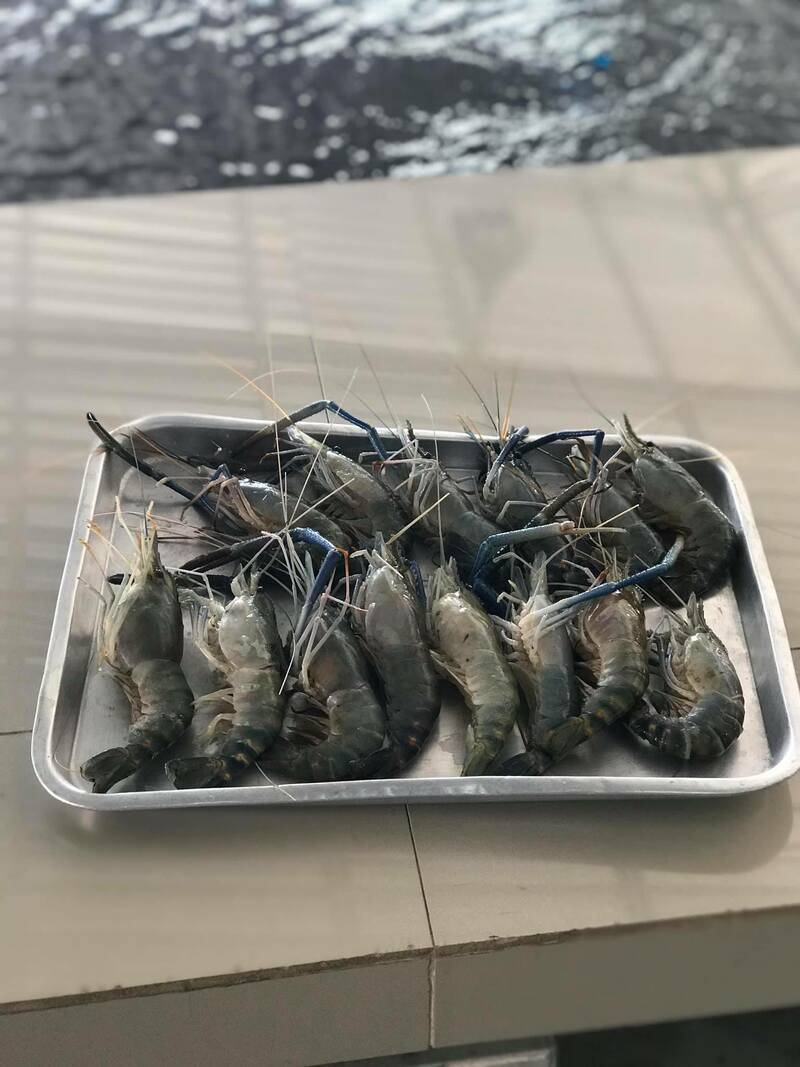 top 10+ ร้านคาวหวาน พัทยา : ให้หัวใจมันพา มาพักผ่อนที่ทะเล (อัปเดต 30/11/63)