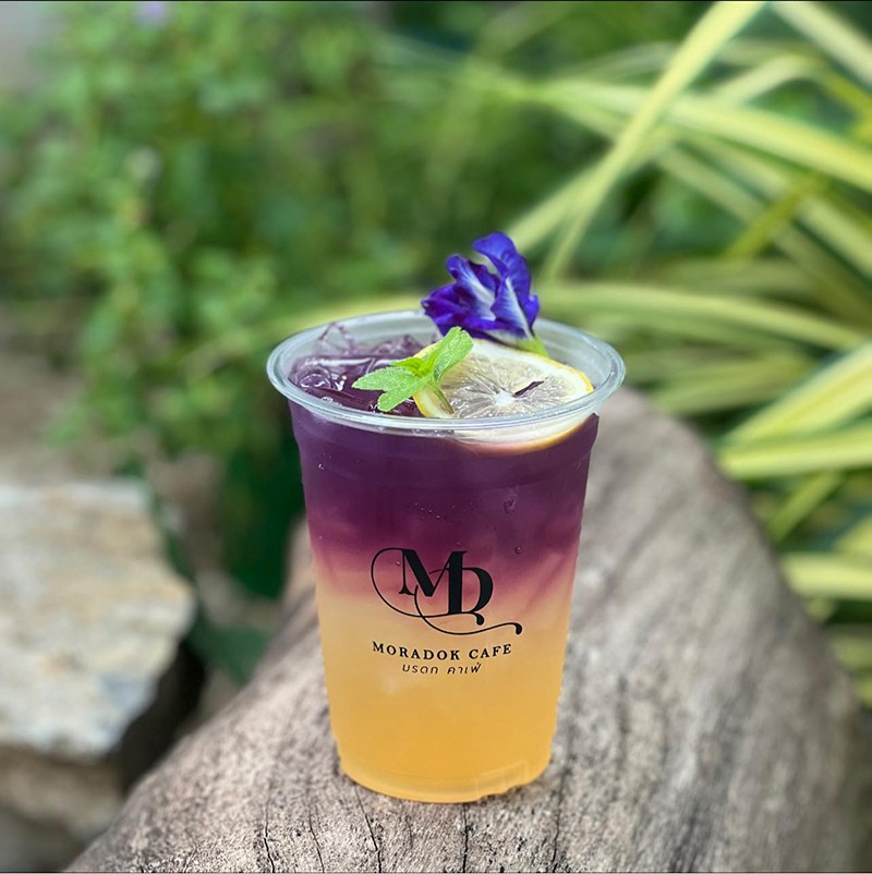 สระบุรี, top 9+ คาเฟ่สระบุรี 2567 เปิดใหม่ ดื่มด่ำธรรมชาติ หนองแซง เสาไห้ สระบุรี