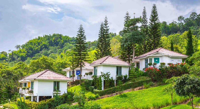 top 10+ ที่พักเขาค้อวิวทะเลหมอก 2567 ที่พักเปิดใหม่ บ้านเป็นหลัง วิวสวย ราคาถูก