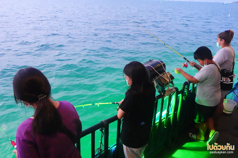 คาเฟ่ตกหมึกพัทยา, tako trip พัทยา, แพตกหมึกพัทยา, tako trip คาเฟ่ตกหมึกพัทยา จุดเช็คอินที่คนรักซีฟู้ด รักการทานซาซิมิสด