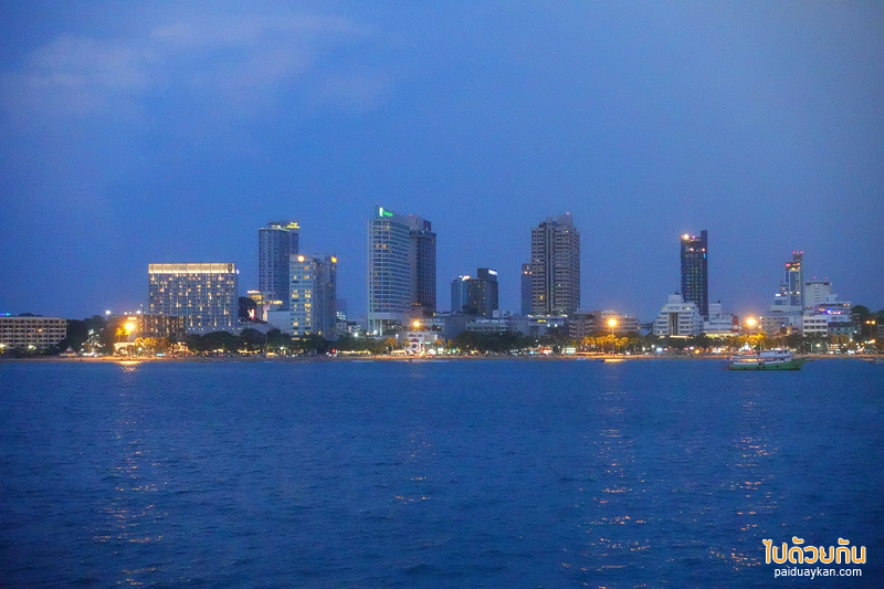 คาเฟ่ตกหมึกพัทยา, tako trip พัทยา, แพตกหมึกพัทยา, tako trip คาเฟ่ตกหมึกพัทยา จุดเช็คอินที่คนรักซีฟู้ด รักการทานซาซิมิสด