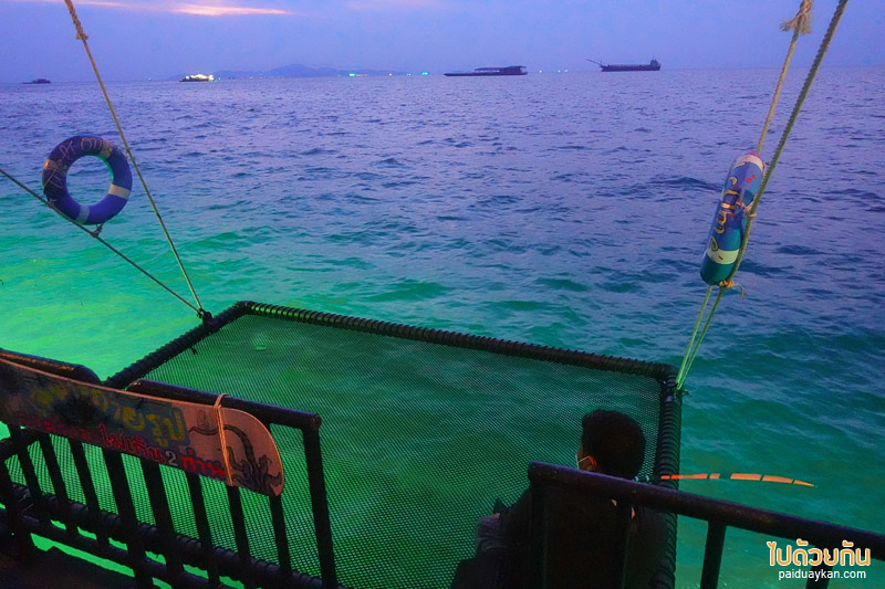 คาเฟ่ตกหมึกพัทยา, tako trip พัทยา, แพตกหมึกพัทยา, tako trip คาเฟ่ตกหมึกพัทยา จุดเช็คอินที่คนรักซีฟู้ด รักการทานซาซิมิสด