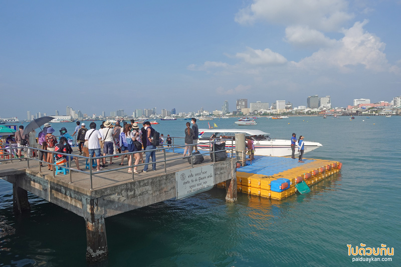 คาเฟ่ตกหมึกพัทยา, tako trip พัทยา, แพตกหมึกพัทยา, tako trip คาเฟ่ตกหมึกพัทยา จุดเช็คอินที่คนรักซีฟู้ด รักการทานซาซิมิสด