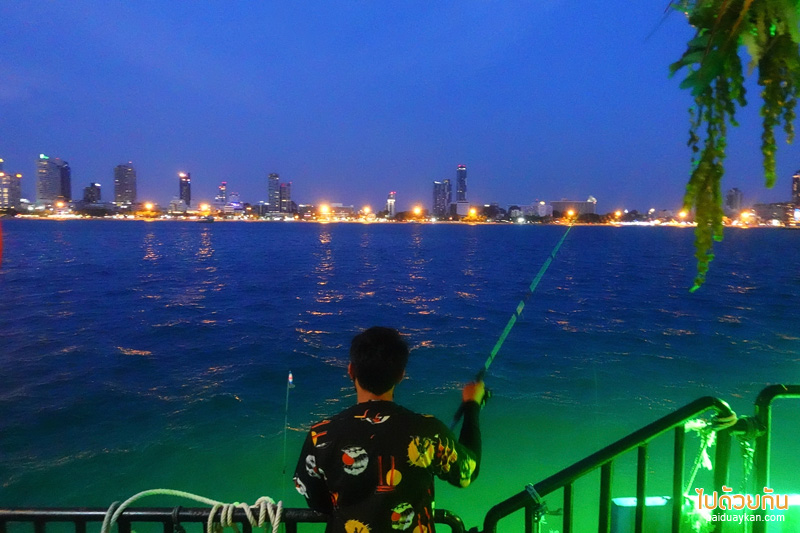 คาเฟ่ตกหมึกพัทยา, tako trip พัทยา, แพตกหมึกพัทยา, tako trip คาเฟ่ตกหมึกพัทยา จุดเช็คอินที่คนรักซีฟู้ด รักการทานซาซิมิสด