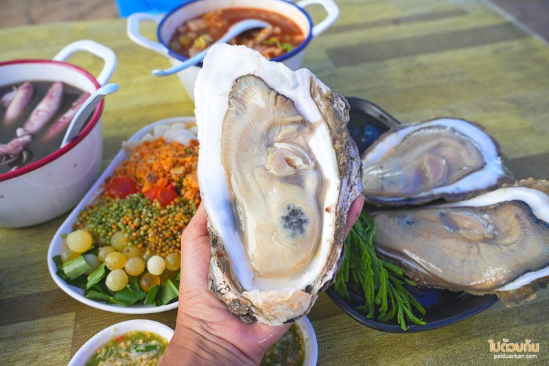 เที่ยวระยอง, บารมีหอย, ร้านอาหารทะเลระยอง, ร้านอร่อยระยอง, บารมีหอย ร้านอาหารทะเลหาดแหลมเจริญ สด อร่อย ราคาเป็นมิตร