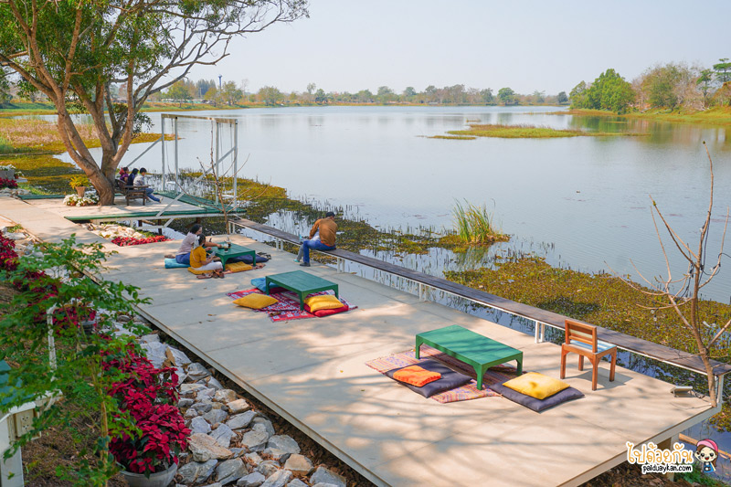 ร้านกาแฟวังน้ำเขียว, เที่ยววังน้ำเขียว, ริมลากูน วังน้ำเขียว, คาเฟ่วังน้ำเขียว, ริมลากูน วังน้ำเขียว