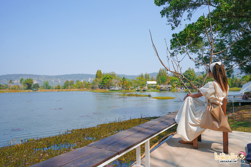 ร้านกาแฟวังน้ำเขียว, เที่ยววังน้ำเขียว, ริมลากูน วังน้ำเขียว, คาเฟ่วังน้ำเขียว, ริมลากูน วังน้ำเขียว