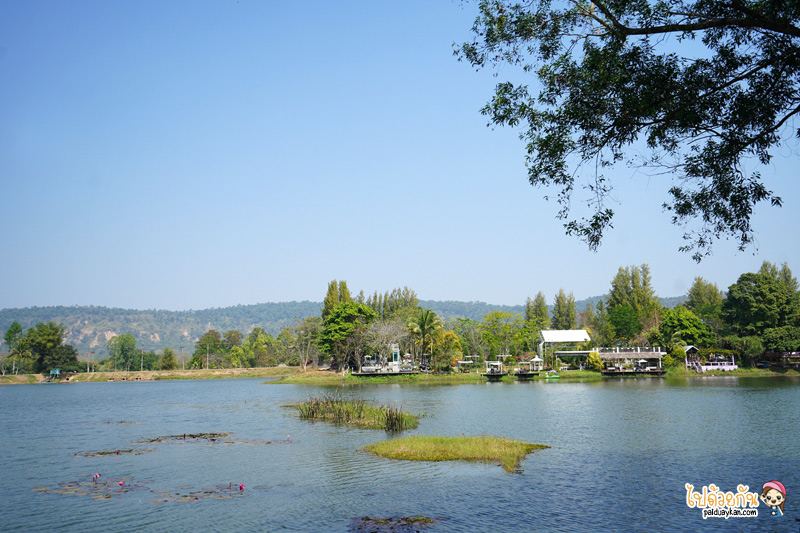 ร้านกาแฟวังน้ำเขียว, เที่ยววังน้ำเขียว, ริมลากูน วังน้ำเขียว, คาเฟ่วังน้ำเขียว, ริมลากูน วังน้ำเขียว