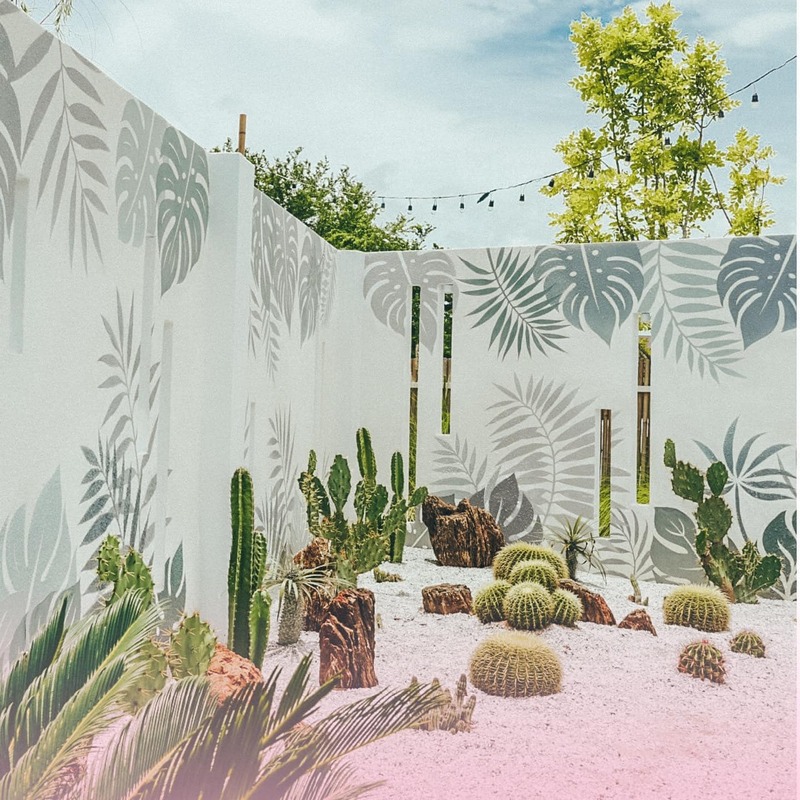 treescape pattaya คาเฟ่สุดน่ารักสไตล์ชิลๆ ใจกลางเมืองพัทยา!