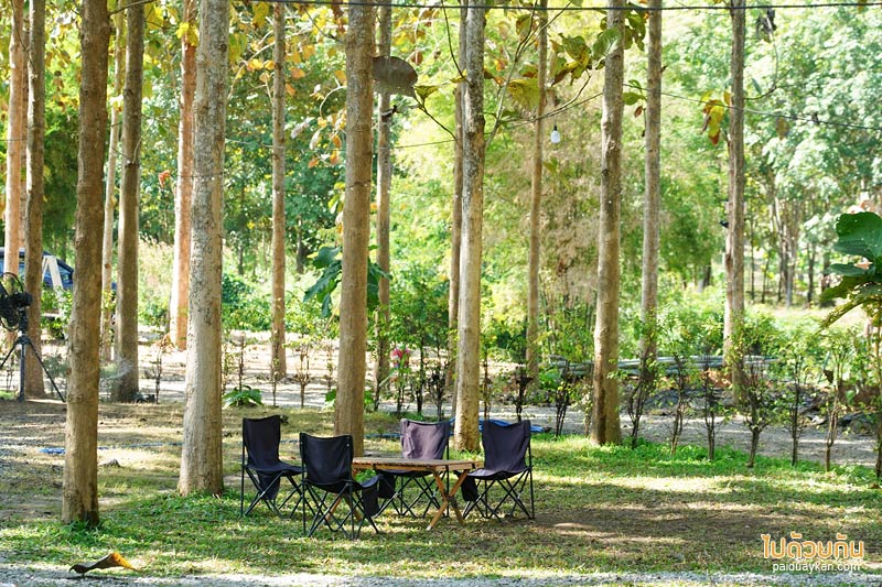 buhom cafe camping, บุฮม คาเฟ่), คาเฟ่เชียงคาน, คาเฟ่แคมปปิ้งเชียงคาน, buhom cafe คาเฟ่สไตล์แคมป์ปิ้ง จัดเต็มพรอพแบบแน่นๆ  