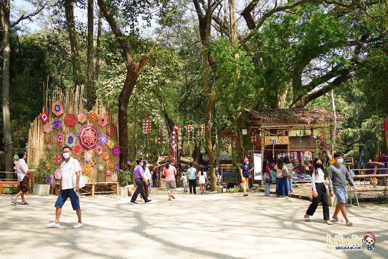 ที่เที่ยวสวนผึ้ง, สวนผึ้ง, เที่ยวราชบุรี, สวนผึ้ง อำเภอสุดชิลล์ บรรยากาศดี๊ดี เที่ยวแบบอินไซด์ 20 จุดเช็คอินเก๋ๆ ไปได้ทุกฤดู