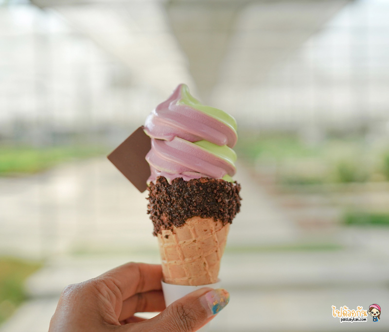 ที่เที่ยวสวนผึ้ง, สวนผึ้ง, เที่ยวราชบุรี, สวนผึ้ง อำเภอสุดชิลล์ บรรยากาศดี๊ดี เที่ยวแบบอินไซด์ 20 จุดเช็คอินเก๋ๆ ไปได้ทุกฤดู