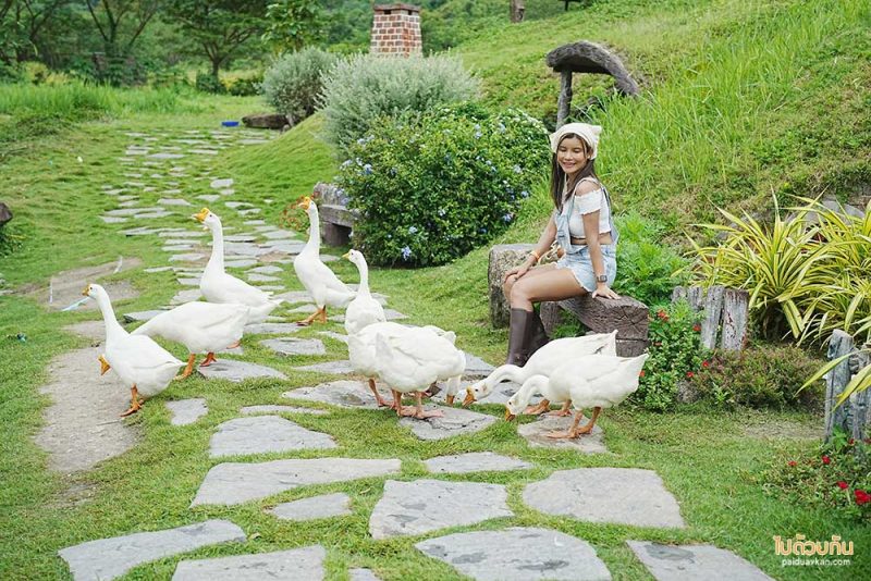 ที่เที่ยวสวนผึ้ง, สวนผึ้ง, เที่ยวราชบุรี, สวนผึ้ง อำเภอสุดชิลล์ บรรยากาศดี๊ดี เที่ยวแบบอินไซด์ 20 จุดเช็คอินเก๋ๆ ไปได้ทุกฤดู