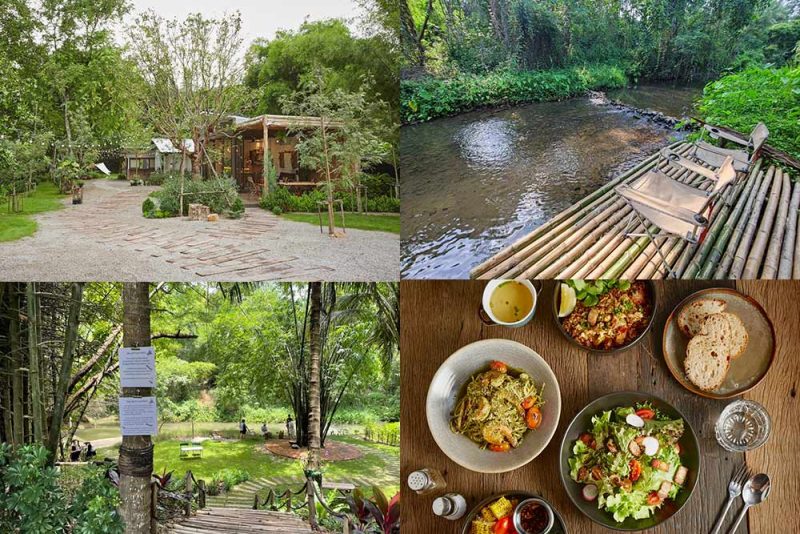 ที่เที่ยวสวนผึ้ง, สวนผึ้ง, เที่ยวราชบุรี, สวนผึ้ง อำเภอสุดชิลล์ บรรยากาศดี๊ดี เที่ยวแบบอินไซด์ 20 จุดเช็คอินเก๋ๆ ไปได้ทุกฤดู