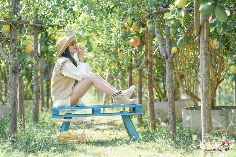 ที่เที่ยวสวนผึ้ง, สวนผึ้ง, เที่ยวราชบุรี, สวนผึ้ง อำเภอสุดชิลล์ บรรยากาศดี๊ดี เที่ยวแบบอินไซด์ 20 จุดเช็คอินเก๋ๆ ไปได้ทุกฤดู