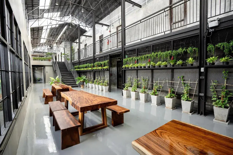 มัดรวม! 15 ที่พักเชียงใหม่ ในเมือง ราคาถูกและดี ฉบับปี 2024